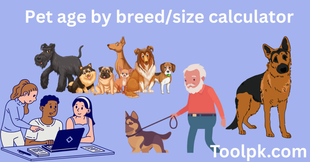 Pet age by breed/size calculator